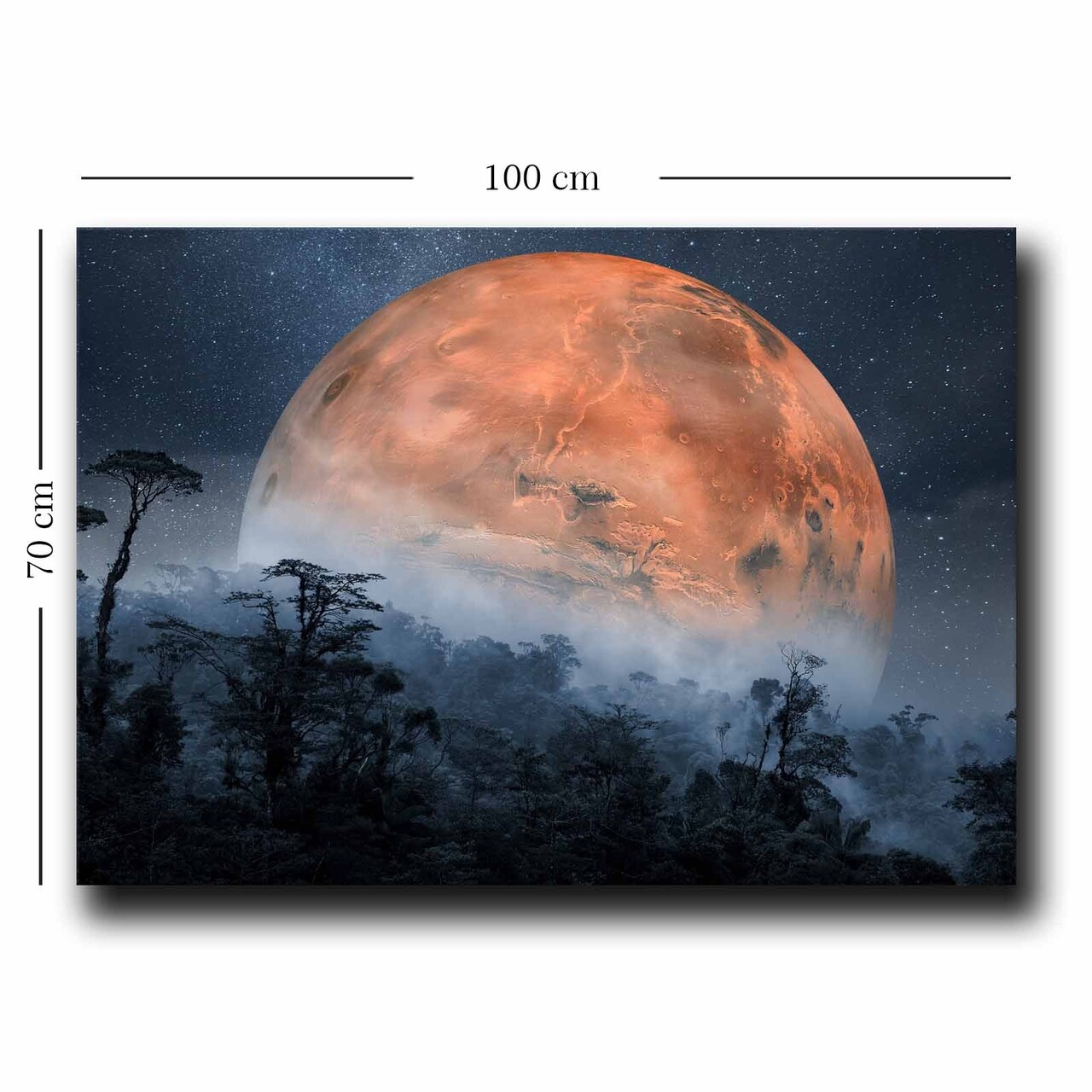 Tablou decorativ, 70100NISC-049, Lemn, Portocaliu / Bleumarin / Negru - view 2