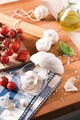 Cutie depozitare usturoi, Snips, Garlic Keeper, 10.5 x 11 x 8 cm, plastic