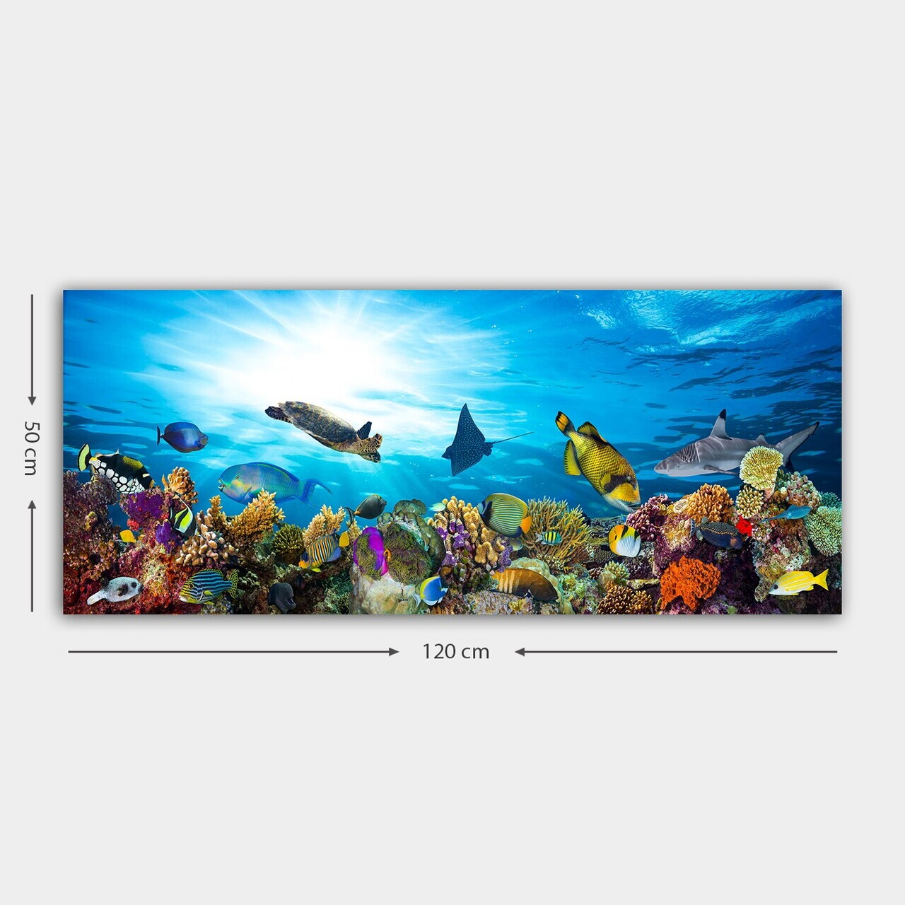 Tablou decorativ, YTY295429769_50120, Canvas, Rama din lemn (grosime 3 cm), Multicolor — imaginea 3
