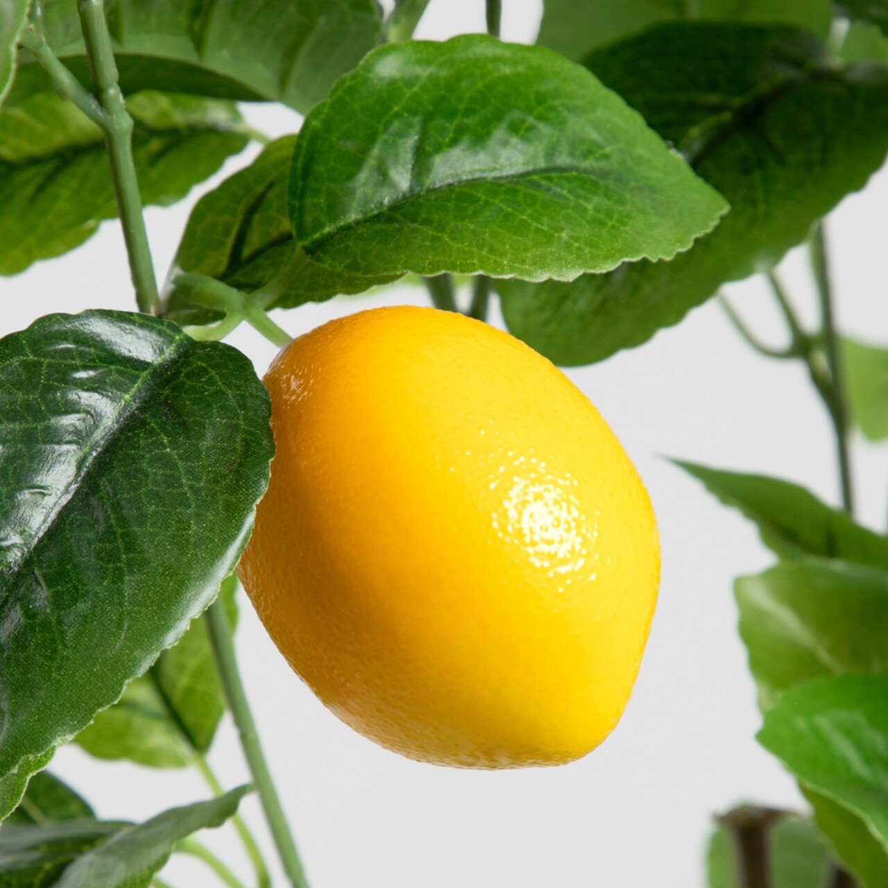 Planta artificiala cu lamai Citrus, Homla, 11x75 cm, plastic, multicolor