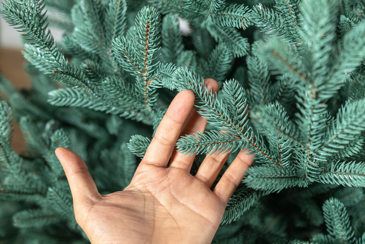 Brad artificial Christmas Deluxe by Sersimo, Viena Select argintiu, integral 3D, 210cm — imaginea 21