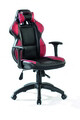 Scaun, Çilek, Bidrive Chair, 50x110x60 cm, Multicolor