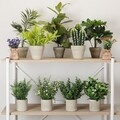 Planta artificiala in ghiveci Camilo , Versa, 10.5 x 10.5 x 23 cm, plastic