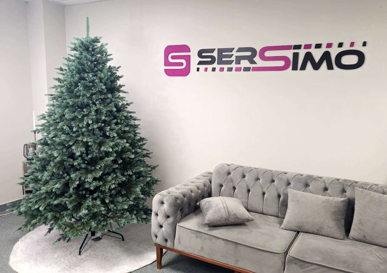Brad artificial Christmas Deluxe by Sersimo, Alaska Select verde argintiu, integral 3D, 230 cm — imaginea 14
