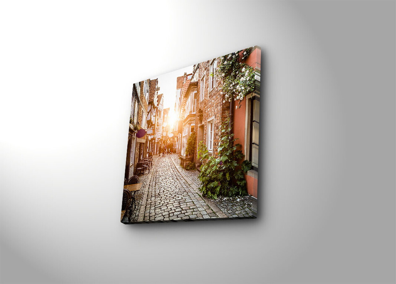 Tablou decorativ, 4545K-54, PÂNZĂ DIN PIELE ÎNTOARSĂ, Dimensiune: 45 x 45 cm, Multicolor — imaginea 2