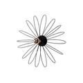 Aplica de perete, Sheen, 521SHN2202, Metal, Negru