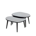 Set masute 2 piese, Neostill, Gusto Set- Black, Fumuriu, Sticla temperata , Negru / Fume