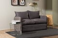 Canapea extensibilă cu 2 locuri, Futon, 859FTN2873, Metal , Gri