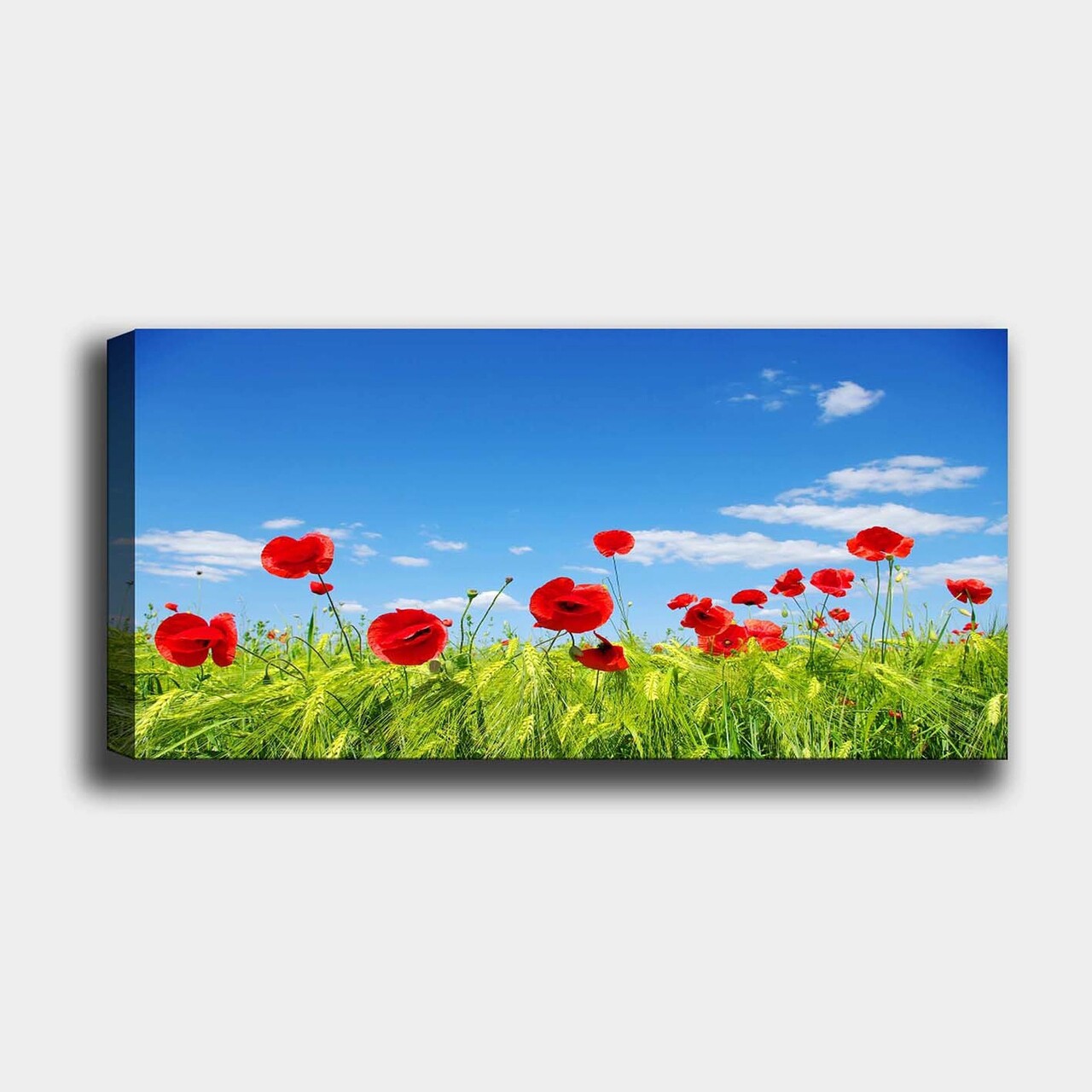 Tablou decorativ, YTY961713_50120, Cadru: 100% LEMN (grosime: 3 cm), Multicolor - view 2