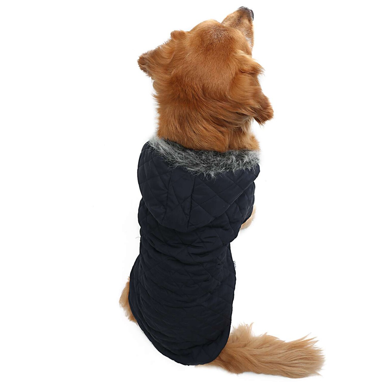 Hanorac pentru câini, Paws &amp; Whiskers, Navybluecoat, Albastru navy - imagine 2