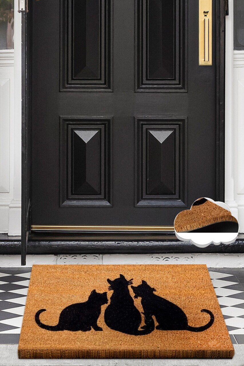 Covoras de intrare, Coco Cat Shadow, 40x60 cm, COIR, Multicolor
