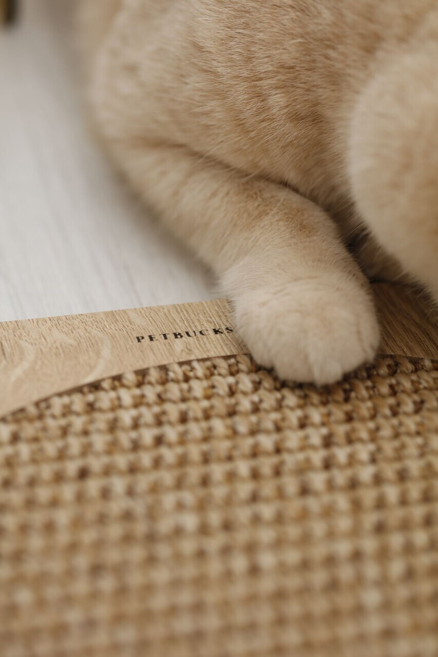 Covoras de zgariat pentru pisici, Paws &amp; Whiskers, Kedi, MDF, Bej - 4