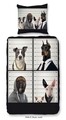 Lenjerie de pat pentru o persoana, Good Morning, Buck, 100% bumbac, 2 piese, multicolor