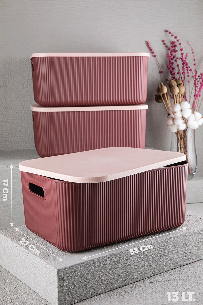 Set recipiente depozitare, Lova, 610DRL1338, Plastic, 13 Lt, Roz - 1 | YEO