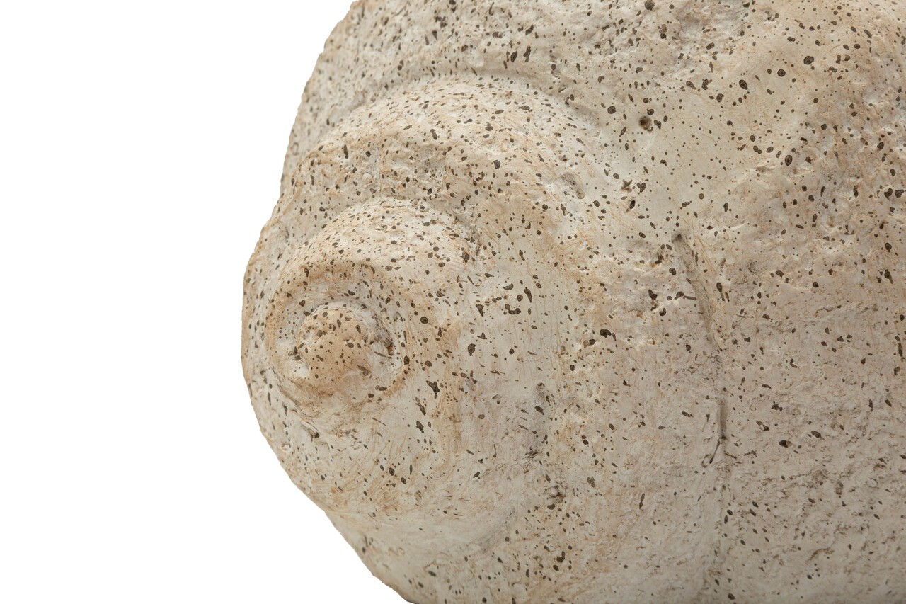 Vaza decorativa, Mauro Ferretti, Shell -B, 35x23x18 cm, oxid de magneziu, bej - imagine 4