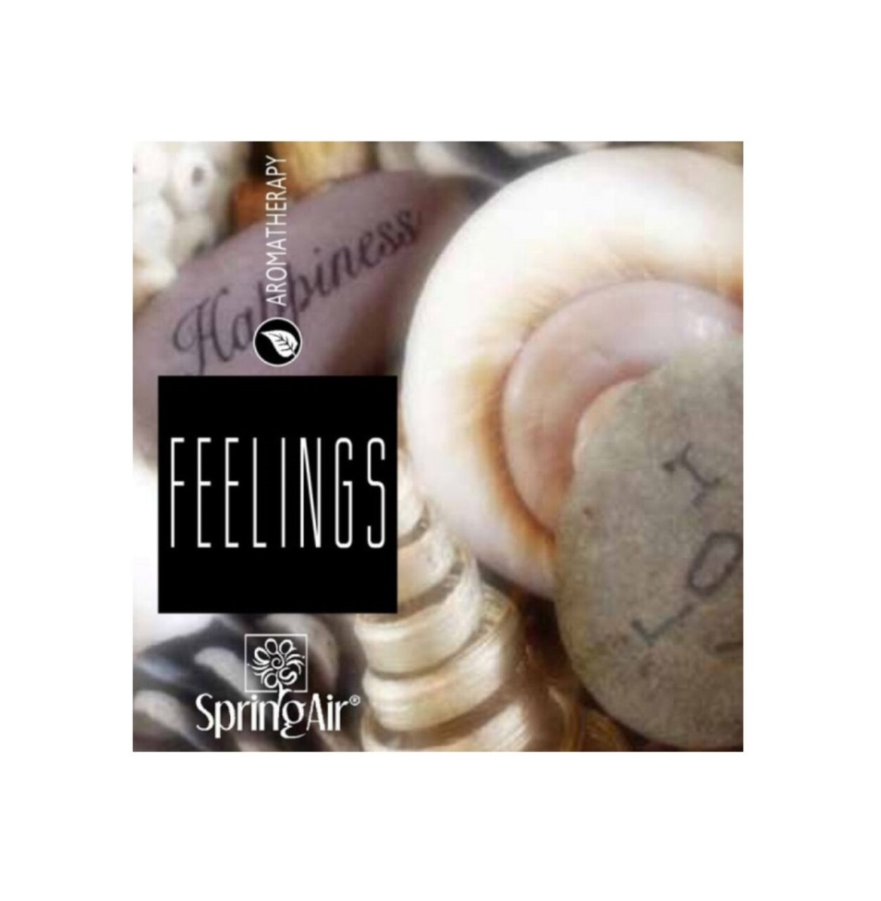 Odorizant spray pentru ambient si tesaturi, Feelings, 500 ml, Spring Air - imagine 2