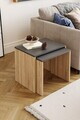 Masute, Hanah Home, Arya, 48x40x55 cm, Stejar Sonomo / Antracit