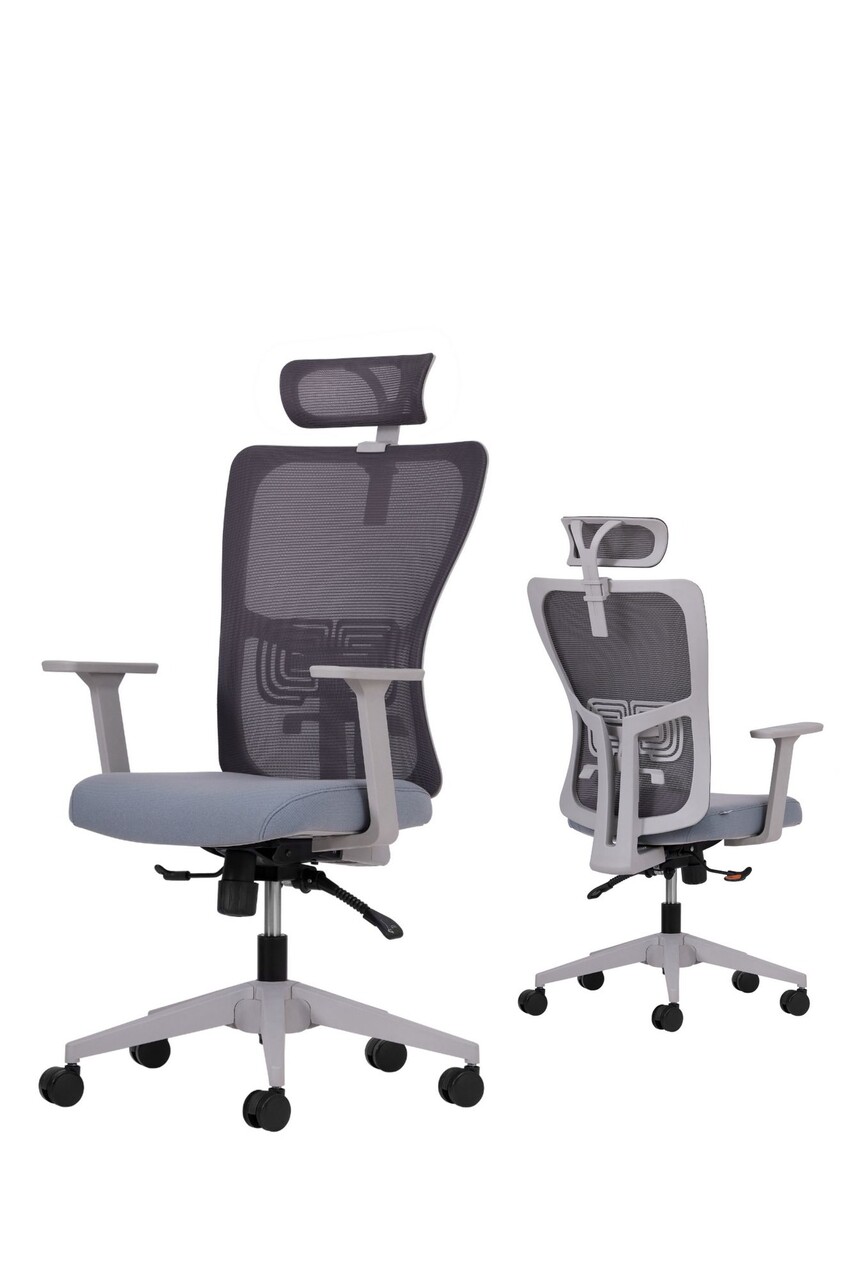 Set scaune de birou (2 piese), Hanah Home, Lumbar 126, Plastic, Gri - view 2