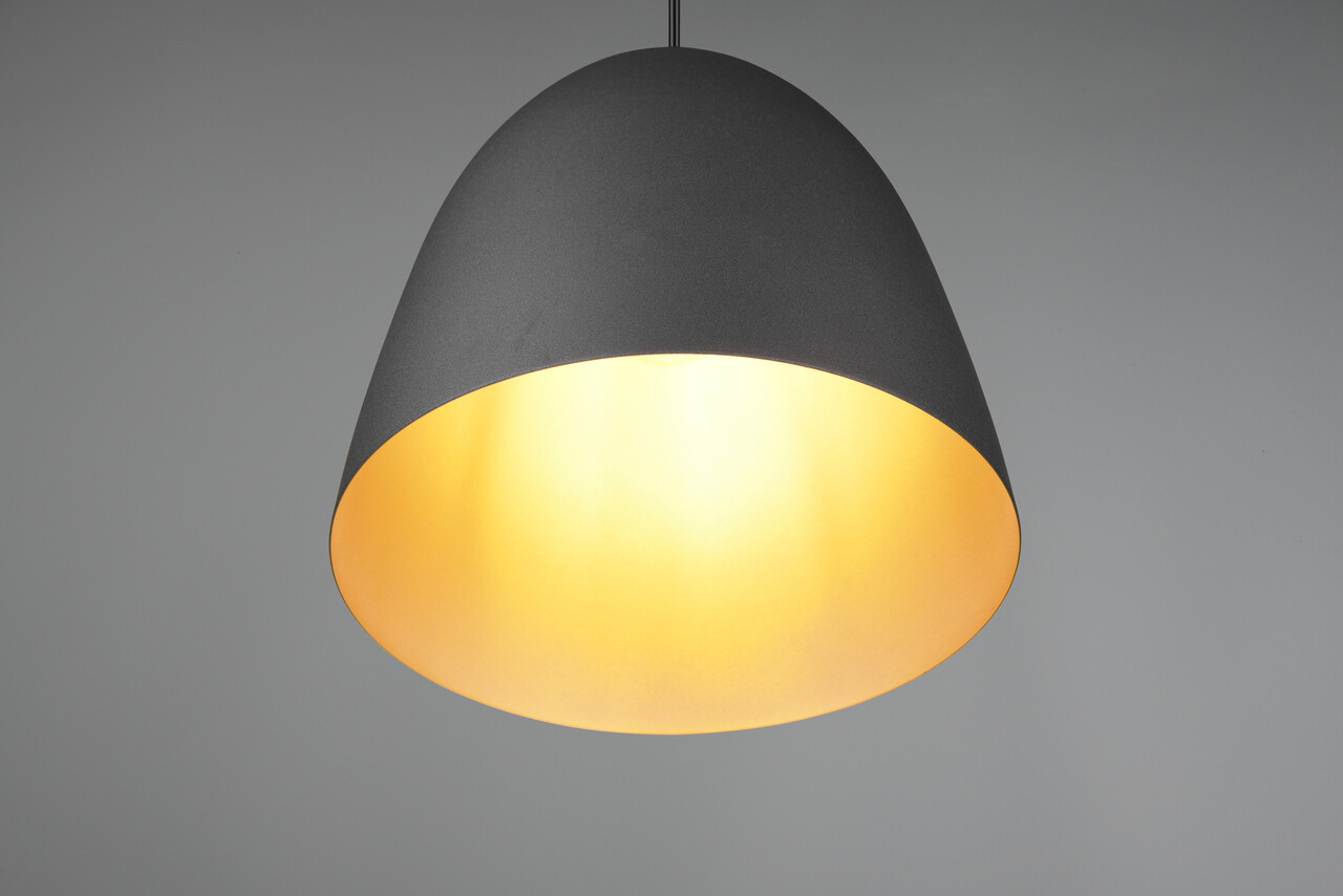 Lustra Tilda, RL, 25x150 cm, 40W, 1x E27, metal, negru/auriu - view 4