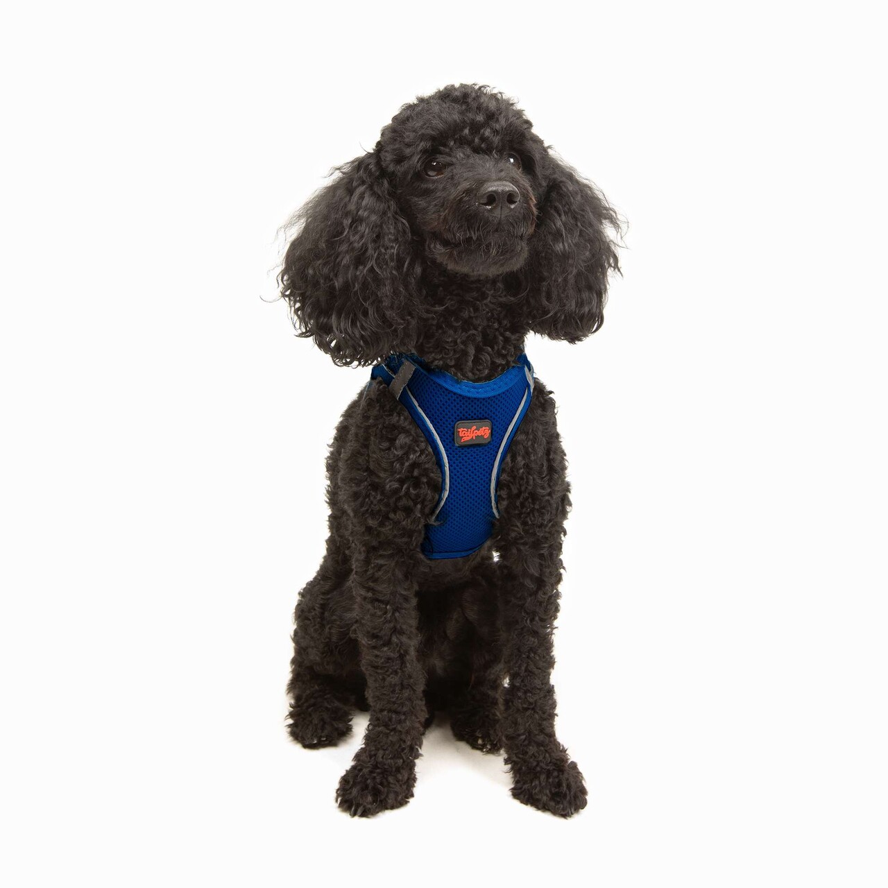 Ham pentru câini, Paws &amp; Whiskers, Air-Mesh, Albastru - imagine 2