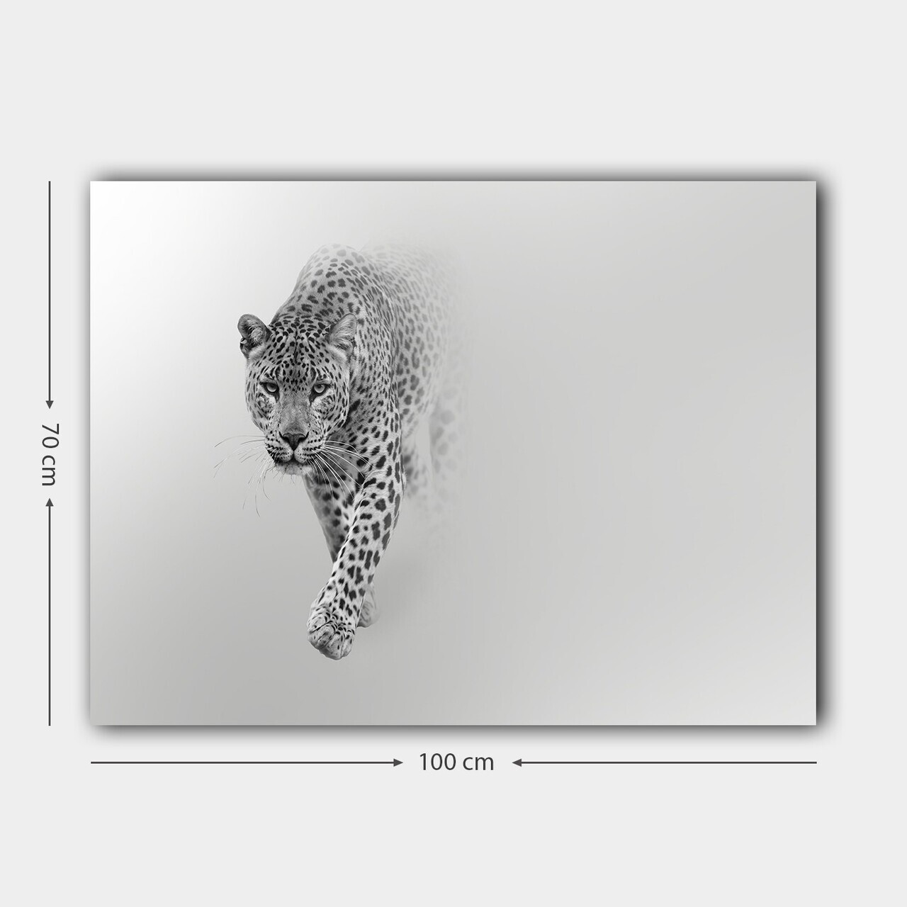 Tablou decorativ, 79208944_70100, Canvas, Rama din lemn (grosime 3 cm), Multicolor — imaginea 3