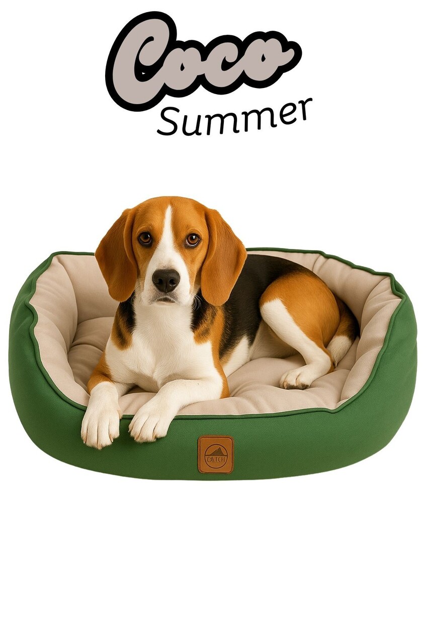 Pat pentru animale de companie, Paws &amp; Whiskers, Coco Summer M, Material exterior: 100% poliester, Verde - view 2