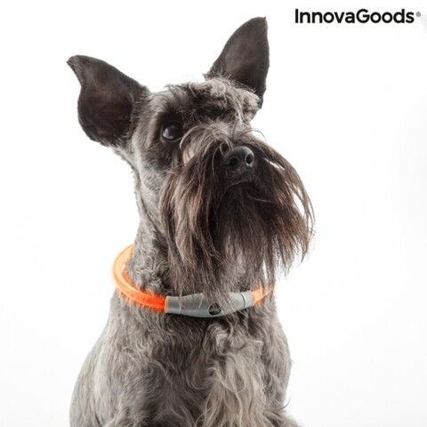 Guler cu led pentru animale de companie, InnovaGoods, Petlux