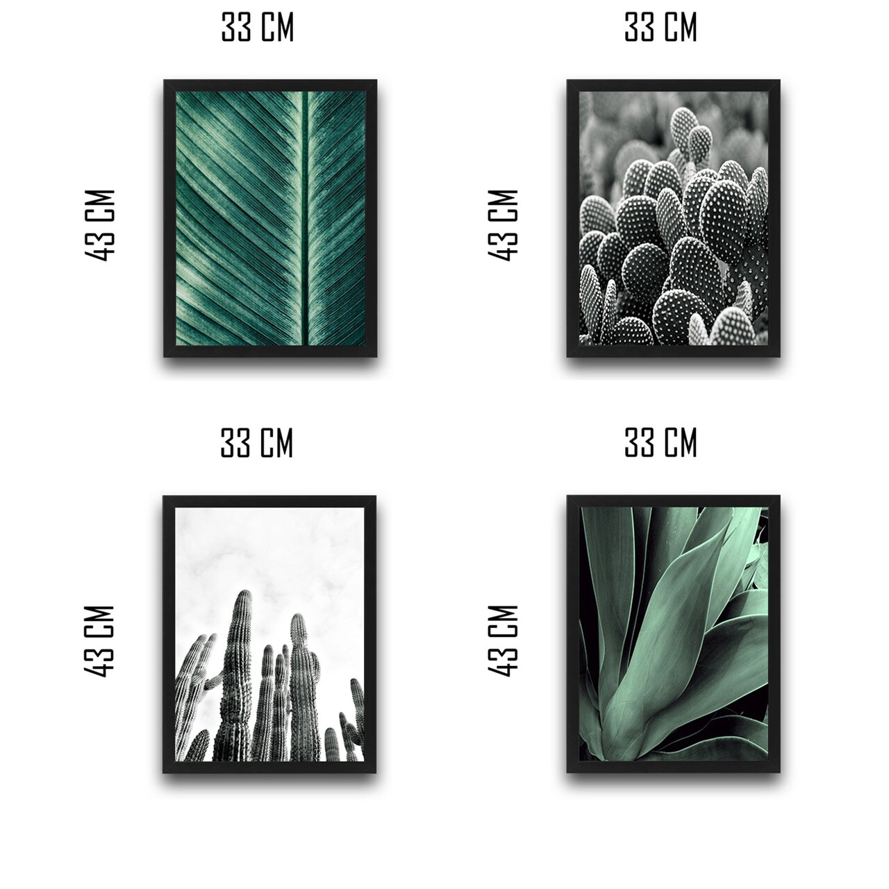 Set 4 tablouri decorative, Green & Cactus Set, PAL, Hartie, Multicolor