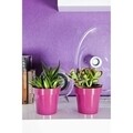 Ghiveci Classic 18 cm, plastic, verde deschis