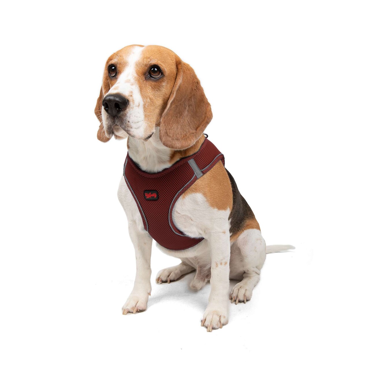 Ham pentru câini, Paws &amp; Whiskers, Air-Mesh, Poliester, Rosu claret - view 4