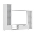 Set mobilier living 4 piese Raalte, Bedora, 220.4x41.3x177.5 cm, PAL/sticla/plastic, alb