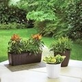 Ghiveci Rattan 24 cm, crem