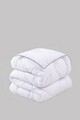 Pilota matlasata Single, 155x215 cm, 100% poliester, 300 gr/mp, Cotton Box, Aloe Vera, alb