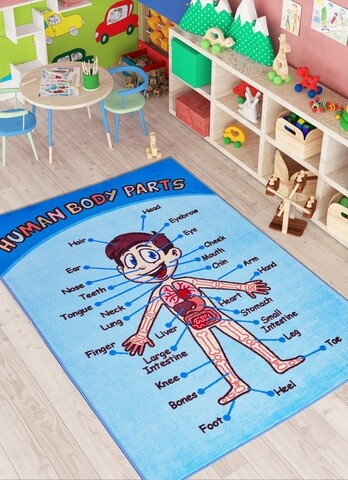 Covor Anatomy – Blue, Confetti, 200×290 cm, poliamida, multicolor Confetti