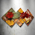 Set 4 tablouri decorative, 4MDF36954355, MDF, Imprimat UV, Multicolor