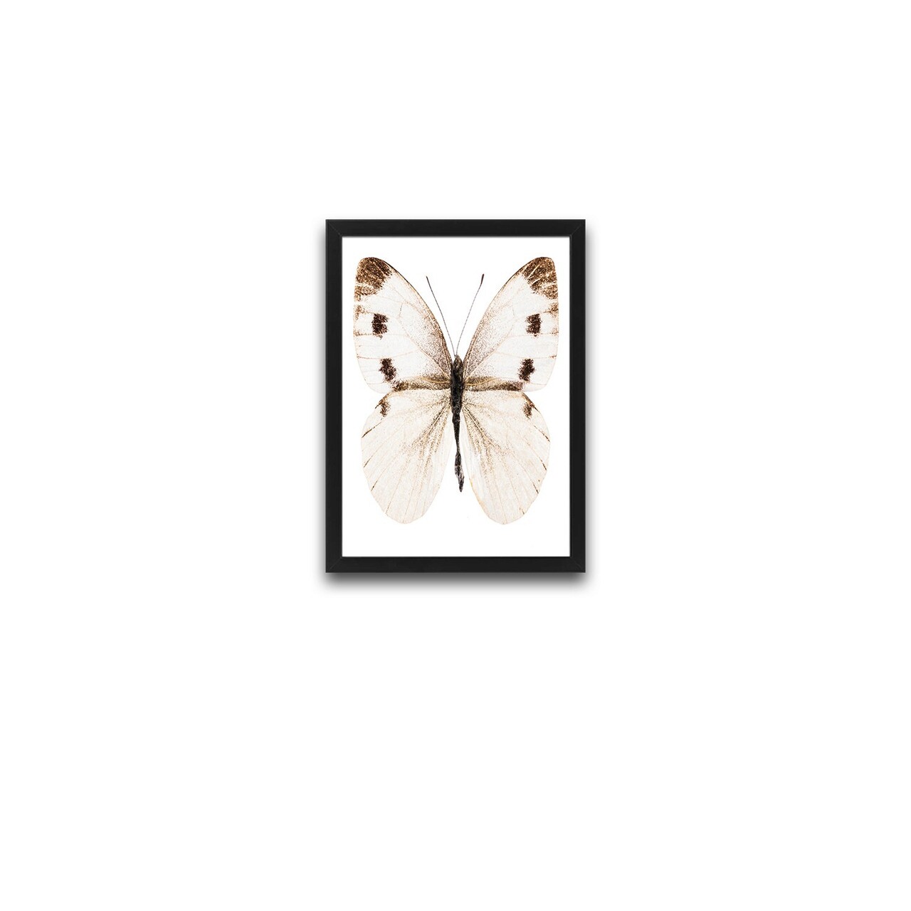 Tablou decorativ Beige Butterfly Set Hartie Multicolor