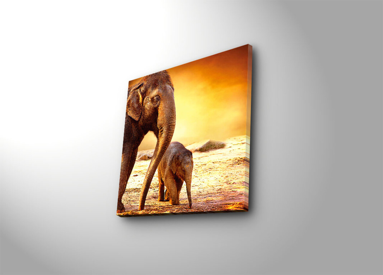 Tablou decorativ, 4545K-28, Dimensiune: 45 x 45 cm, Multicolor - view 2