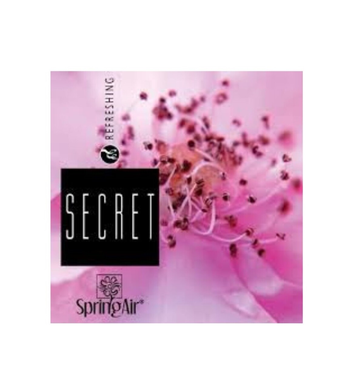 Rezerva odorizant pentru camera Secret, 250ml, Spring Air - imagine 3
