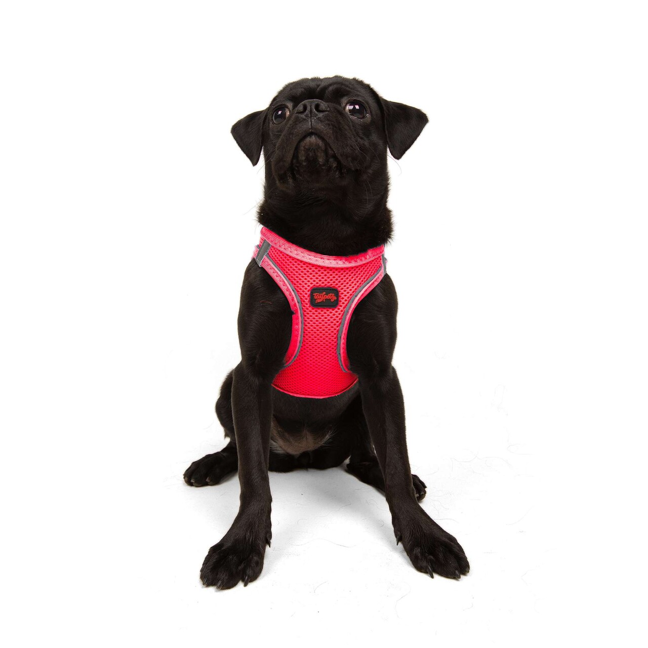 Ham pentru câini, Paws &amp; Whiskers, Air-Mesh, Roz neo - view 6