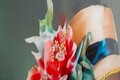 Tablou decorativ Elegant -H, Mauro Ferretti, 52x152 cm, lemn de pin/canvas pictat si lacuit, multicolor