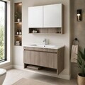 Set Dulap de Baie cu Chiuvetă și Oglindă (2 Piese), Hanah Home, Compacta 100, Mesteacăn musonic