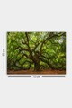 Tablou decorativ, 553671223-5070, PÂNZĂ, Lemn (Grosime: 3 cm, Multicolor