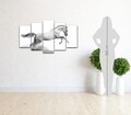 Set 5 tablouri decorative Horse, Homemania, lemn de pin/poliester