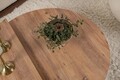 Masuta de cafea, Nordure, Orion, Maro