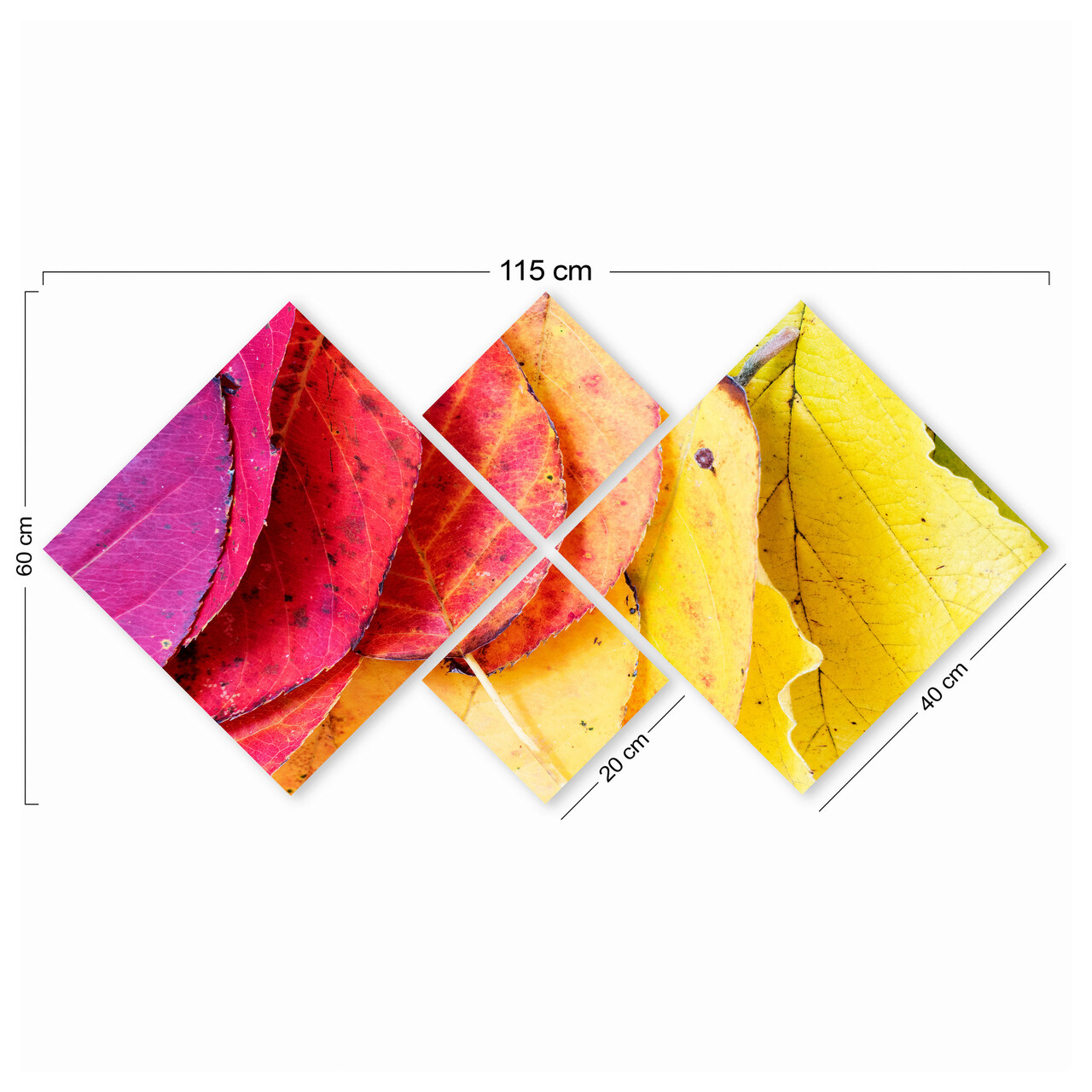 Set 4 tablouri decorative, 4MDF78473056, MDF, Imprimat UV, Multicolor