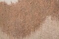 Tablou decorativ Browny, Mauro Ferretti, 80x100 cm, lemn pin/canvas pictat manual