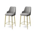 Set scaun de bar (2 bucăți), Charlotte, Enox, Metal, Gri / Auriu
