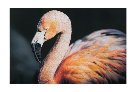 Tablou decorativ Flamingo -B, Mauro Ferretti, 120×80 cm, canvas, multicolor imagine noua 2022