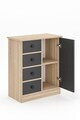 Dulap multifunctional, Hanah Home, Elmar, 66x82x34 cm, Stejar Sonomo / Antracit