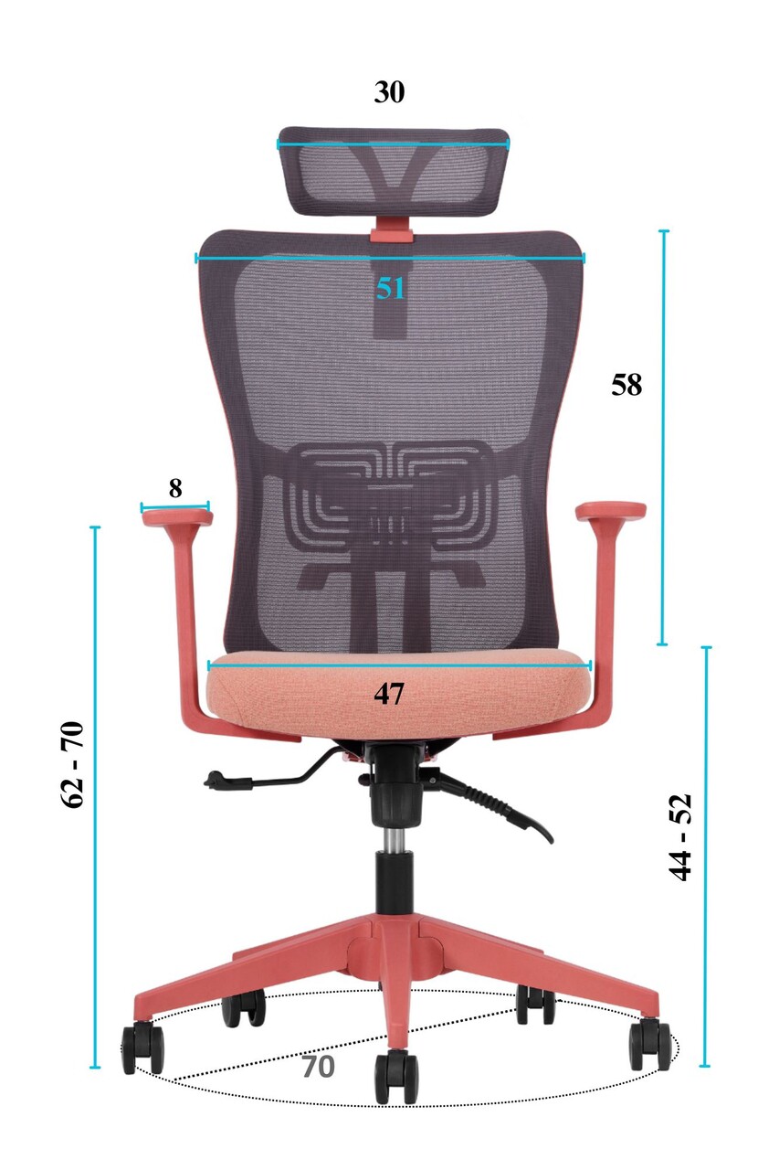 Scaun de birou, Hanah Home, Lumbar 126, 61x126x68 cm, Plastic, Roz somon